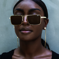 Brown Lens